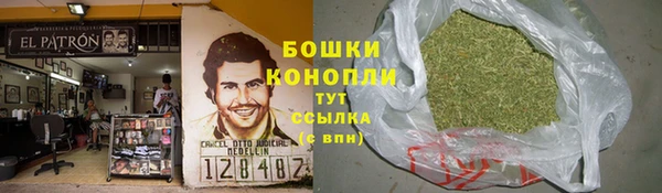 молекула духа Алзамай